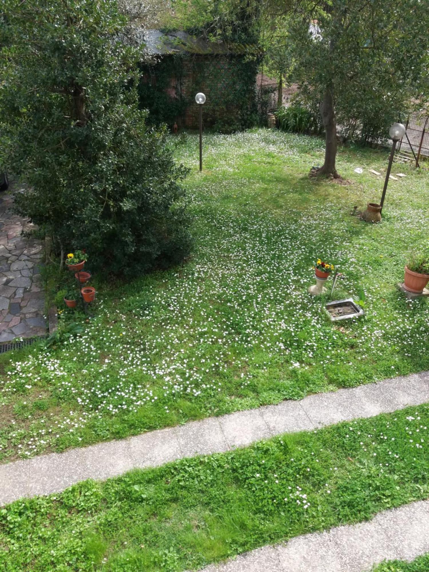 La Casa Del Tiglio Διαμέρισμα Sarzana Εξωτερικό φωτογραφία