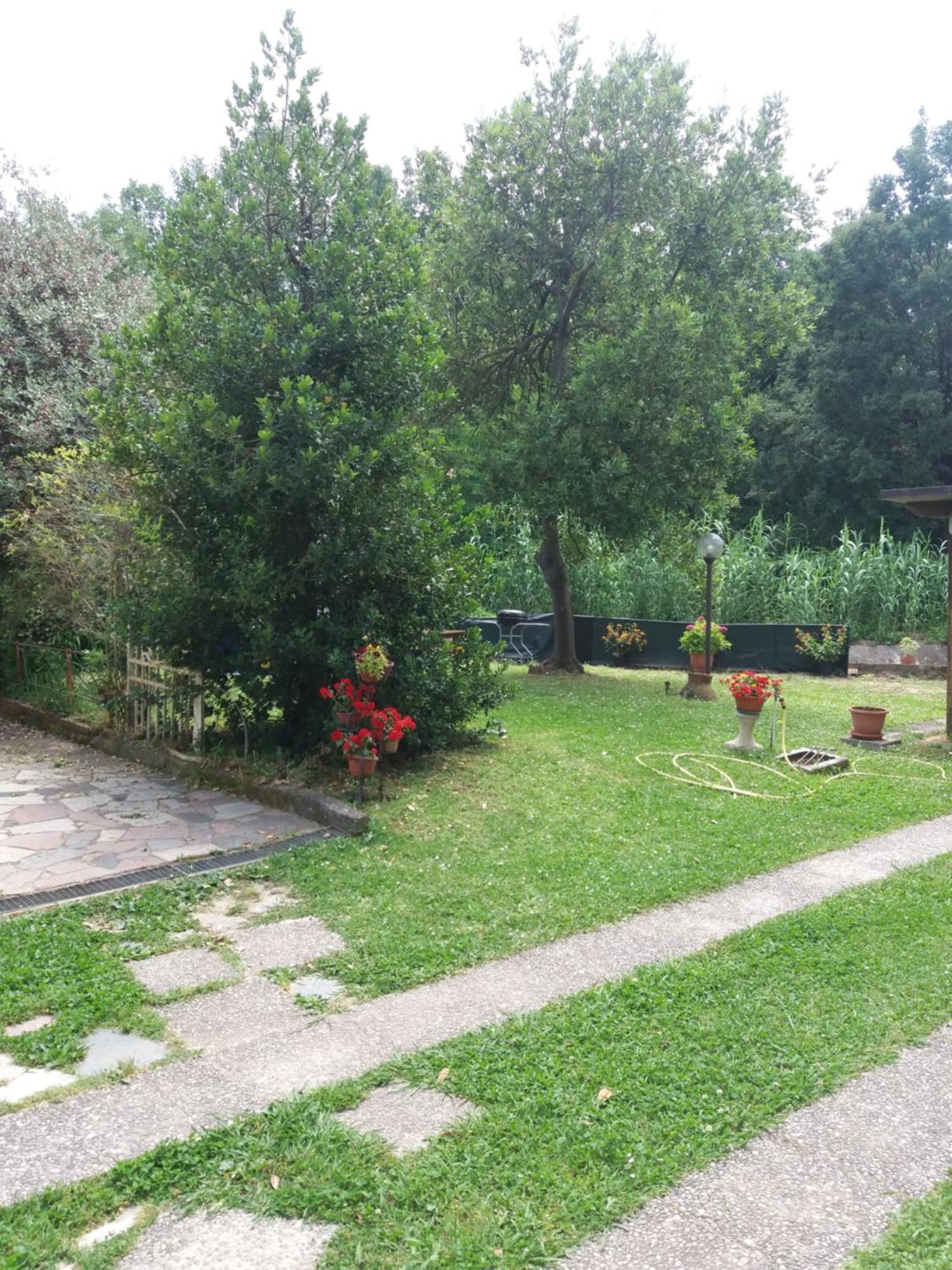 La Casa Del Tiglio Διαμέρισμα Sarzana Εξωτερικό φωτογραφία